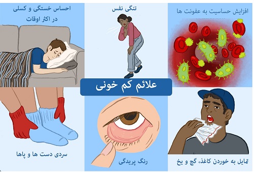 بررسی انواع کم خونی؛ از علائم تا راه های درمان | سوپرابیون