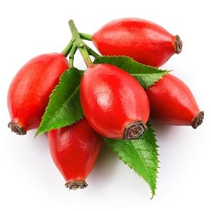 رزهیپ یا کاسه گل